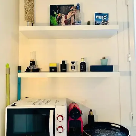 Au Centre De Saint-michel Et St Germain Despres * Párizs